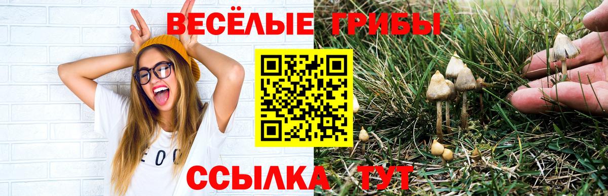 Псилоцибиновые грибы мухоморы Кимовск
