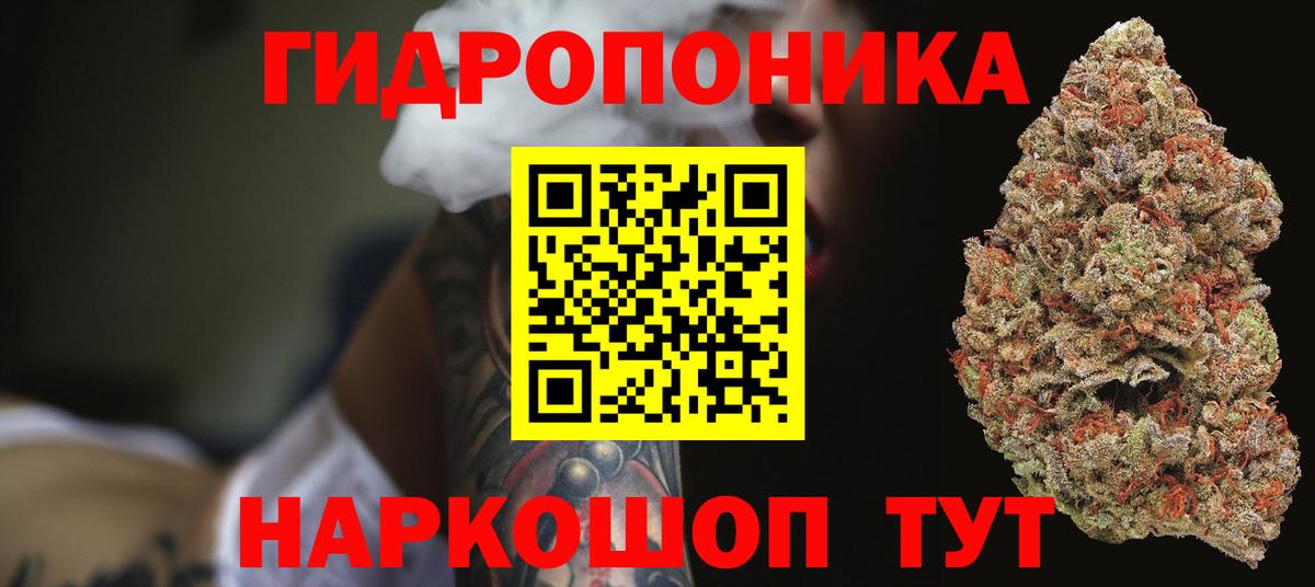 Шишки марихуана сатива Кимовск